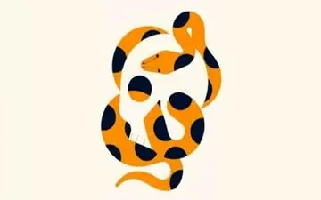 اولین چیزی که در تصویر دیدی بگو چیه تا بگم دیگران عاشق کدوم اخلاقت هستن