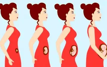 این مرد همزمان 6زن را باردار کرده است! + عکس باورنکردنی 