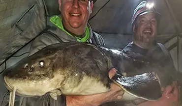 شکار ماهی خاویاری بزرگ با وزن ۵۴ کیلوگرم + فیلم 