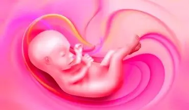 آنچه جنین در شکم مادر یاد میگیرد