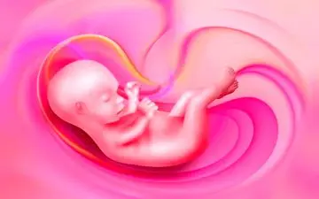 آنچه جنین در شکم مادر یاد میگیرد