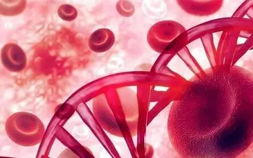 از بالابودن گلبول‌های سفید خون باید نگران باشیم؟