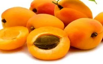 میوه‌ای تابستانی، دشمن سرطان و بیماری‌های عصبی