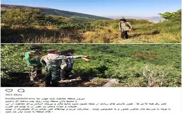 هدیه تهرانی در لباس محیط بان (عکس)