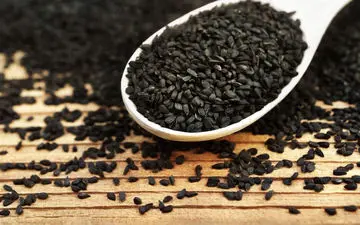 خواص سیاه دانه در طب اسلامی