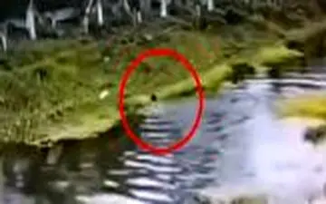 زن کارمند برای دیر نرسیدن در خیابان شنا کرد! 