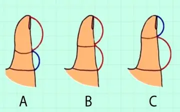 تست شخصیت شناسی تصویری|  انگشتان شما شبیه کدام یک از انگشت های زیر می باشد؟