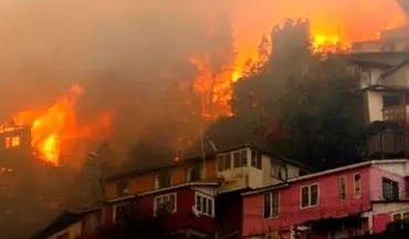 آتش‌سوزی مهیب در شیلی بیش از 700 نفر را بی‌خانمان کرد
