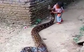 تفریح خطرناک پسر خردسال اندونزیایی! + فیلم