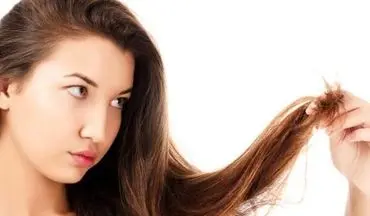  اگر موهایتان آسیب دیده، ممکن است 6 بیماری داشته باشید!