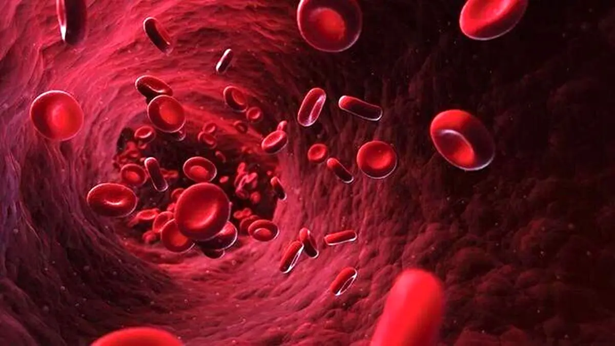 بهبود گردش خون در بدن|۹ مکمل، ویتامین و ماده غذایی موثر بر بهبود گردش خون