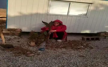 کاشت گل در روستای کوئیک حسن در منطقه زلزله زده دشت‌ذهاب به روایت تصویر