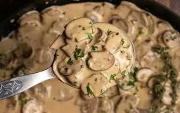 طرز تهیه  سس قارچ رستورانی | خودت درستش کن!