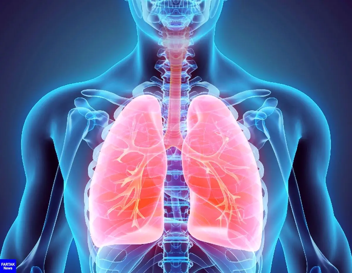 سم زدایی از سیستم تنفسی/تکنیک‌های پاکسازی ریه را بدانید 