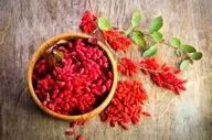 میوه‌ای کوچک سرشار از ویتامین‌ها و آنتی‌اکسیدان‌ها