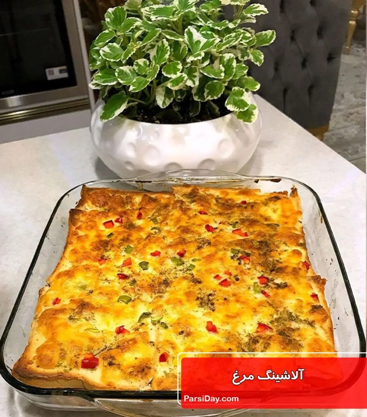 آموزش آلاشینگ مرغ خوشمزه و جذاب!