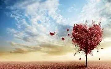 وجیهه 19 سال است که رنگ جشن عروسی و میهمانی را ندیده