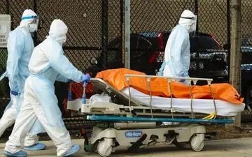 چهارشنبه 29 مرداد| تازه ترین آمارها از همه گیری ویروس کرونا در جهان