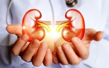 خطرات مصرف بی رویه موز برای کلیه ها!