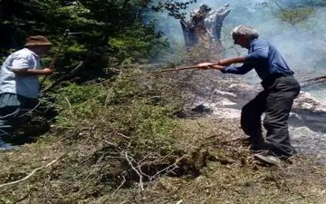 پرتغال فروش، عامل آتش سوزی مراتع آمل شد