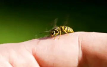  زهری که یک گرم آن از یک بشکه نفت گران‌تر است!