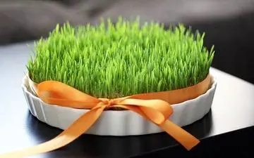 نحوه درست کردن سبزه عید 