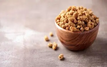 کنترل قند خون و تقویت سیستم ایمنی بدن با توت خشک