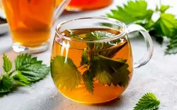 چای و دمنوش گزنه، درمان طبیعی و چند منظوره برای سنگ کلیه و سلامتی