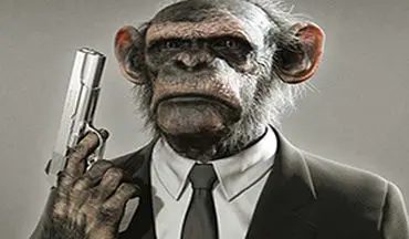میمون اسلحه کش+فیلم