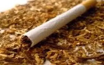 واردات ۵۴ میلیون دلاری توتون و تنباکو