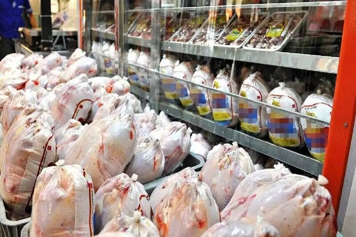 کاهش ادامه دار قیمت مرغ در بازار
