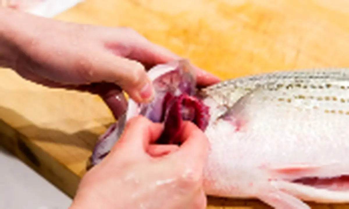 روش‌های ساده برای رفع بوی بد ماهی و گوشت از دست| واقعا آزاردهنده س!