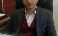 
کشت ۴۰هزار هکتار نخود پاییزه در استان کرمانشاه