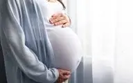 بارداری زنان بدون نیاز به مردان/ علم بکرزایی در انسان‌ها را ممکن می‌کند؟!