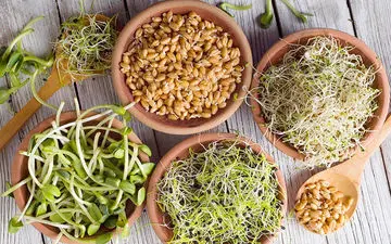 لاغری و انرژی با این جوانه شگفت انگیز