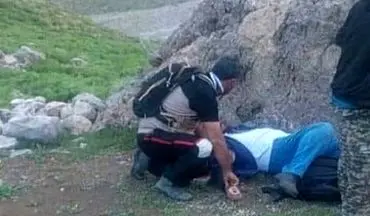 بر اثر ایست قلبی طبیعت گرد سی سخت درگذشت