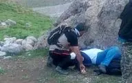 بر اثر ایست قلبی طبیعت گرد سی سخت درگذشت
