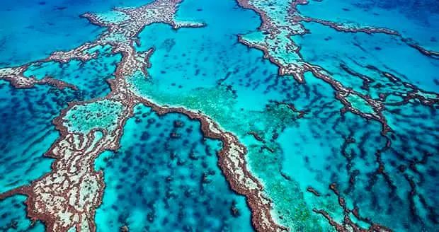 دیوار بزرگ مرجانی، استرالیا - جذاب ترین مکان های زمین برای عکاسی