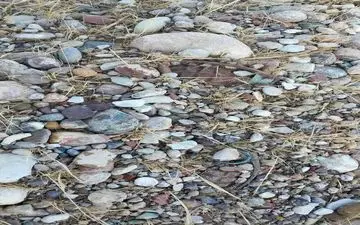 نمایان شدن نارنجک‌های عمل نکرده دوران جنگ تحمیلی در ایلام