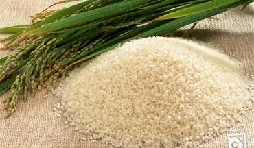  آخرین وضعیت تعرفه برنج وارداتی