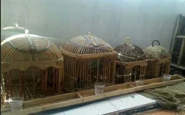 دستگیری یک اکیپ شکارچی در ثلاث باباجانی