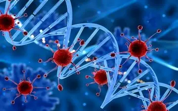 خبر خوش برای درمان سرطان سینه
