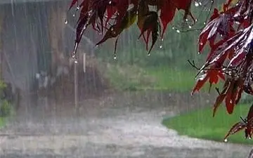 بارش‌ها از مرز 300 میلی‌متر گذشت/ پربارش‌ترین سال آبی نیم قرن