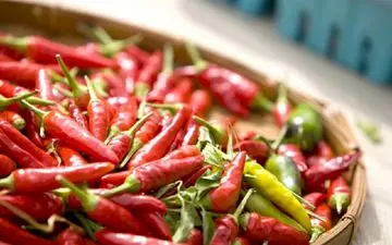 آنچه باید درباره فلفل و غذاهای تند بدانید