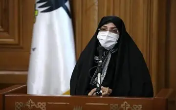 افزایش ۲۵ درصدی جریمه‌های قطع درختان
