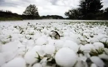 خسارت تگرگ در روستای "نگر شرقی" + فیلم 