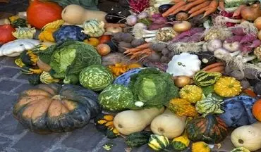 با این خوراکی‌ها در برابر ویروس‌های پاییزی واکسینه می‌شوید