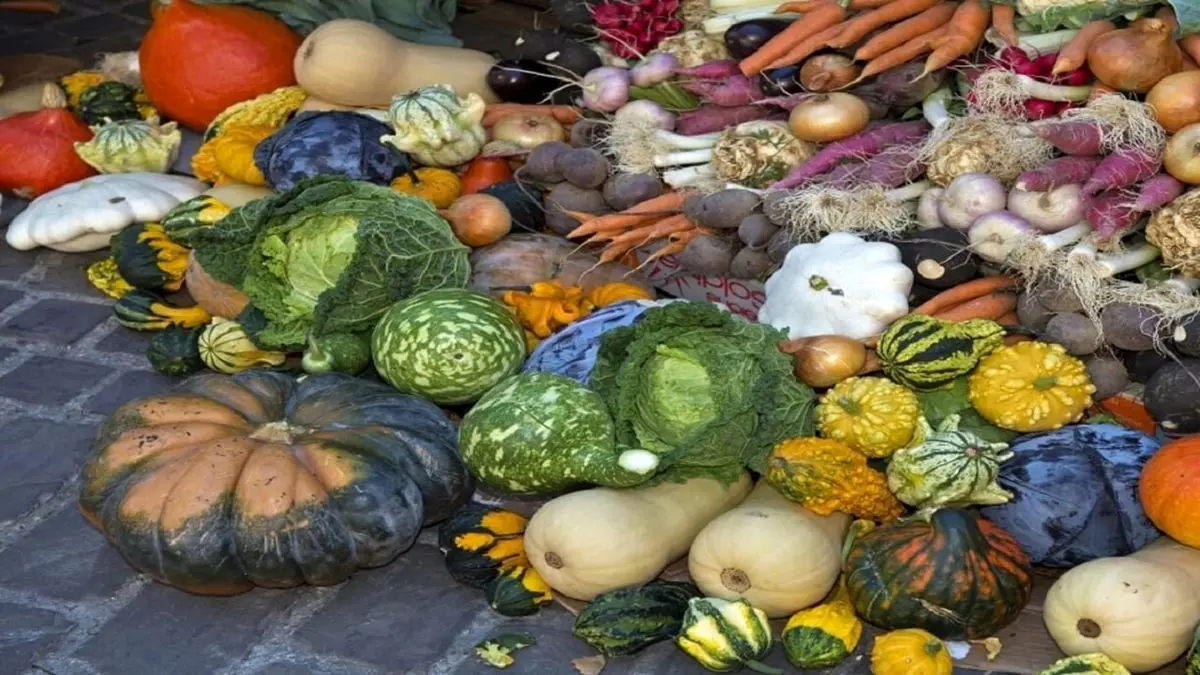 با این خوراکی‌ها در برابر ویروس‌های پاییزی واکسینه می‌شوید