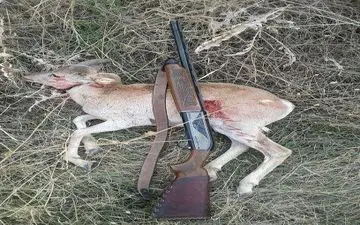 دستگیری شکارچیان سابقه دار در قصرشیرین