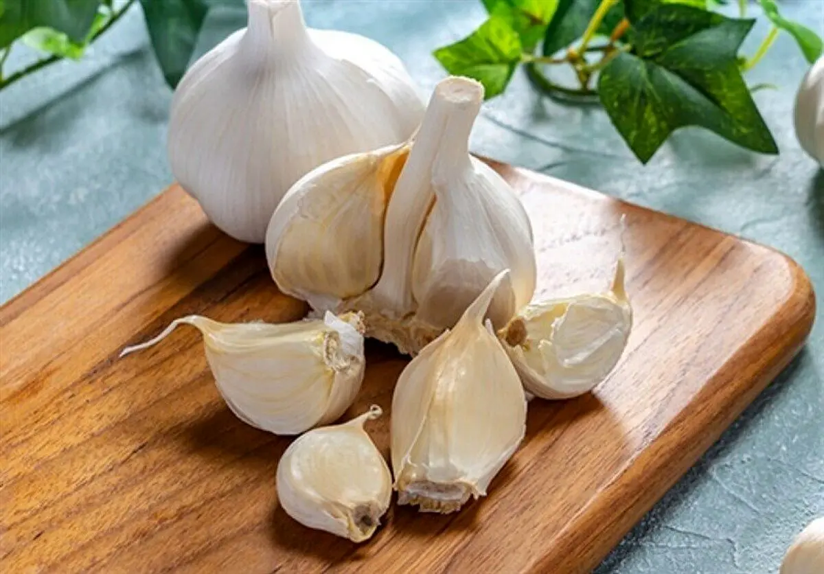 به این دلایل مهم از خوردن سیر غافل نشوید!